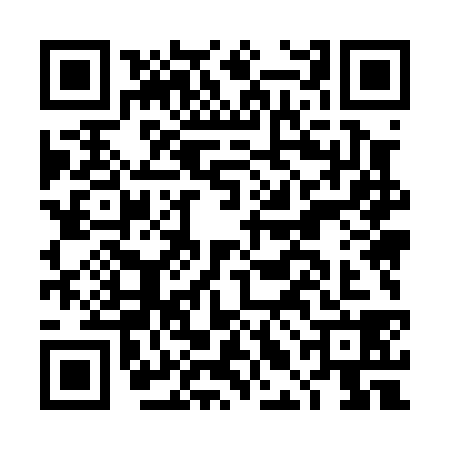 QR code for DLM0385