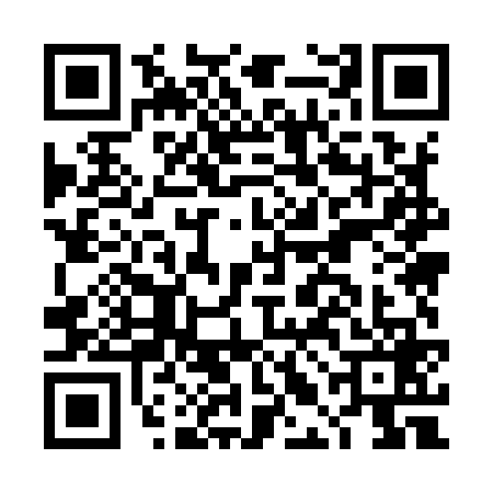 QR code for DLM9699