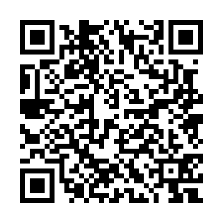 QR code for DLP0315