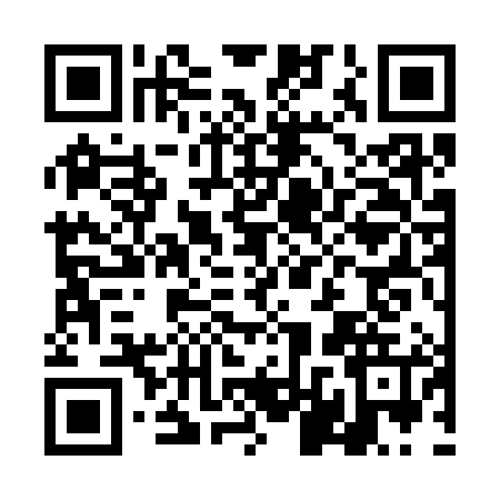 QR code for DLS3851