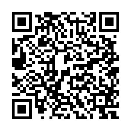 QR code for DLS4869