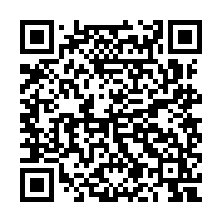 QR code for DM29HZ