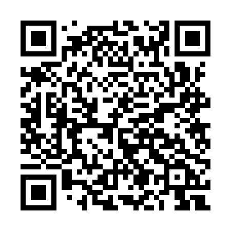 QR code for DM29PF