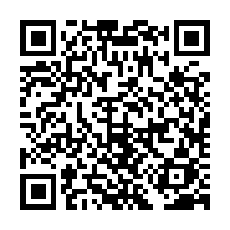 QR code for DM29SJ