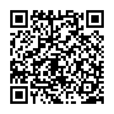 QR code for DMB0493