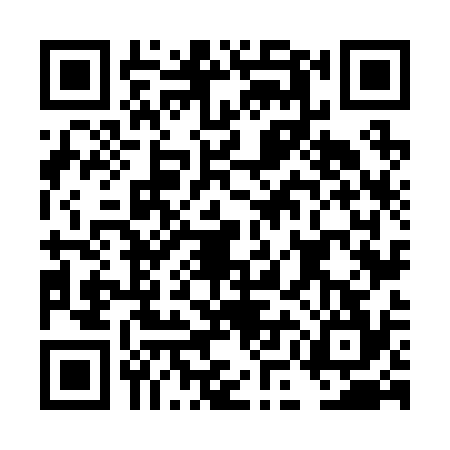 QR code for DMN2346