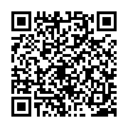 QR code for DMN9931