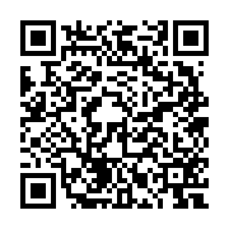 QR code for DMS6563