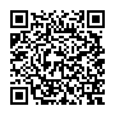 QR code for DMW4613
