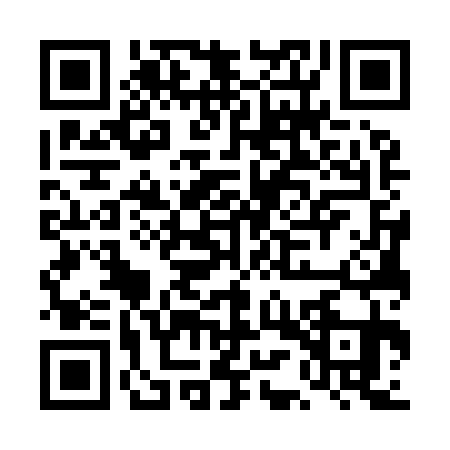 QR code for DMW9313