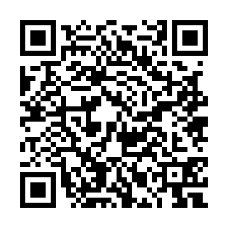 QR code for DMZ1308