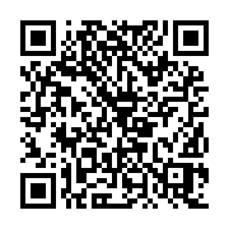 QR code for DN29IR