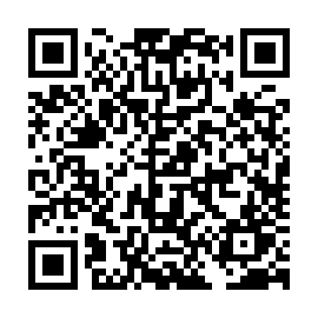 QR code for DN29ZT