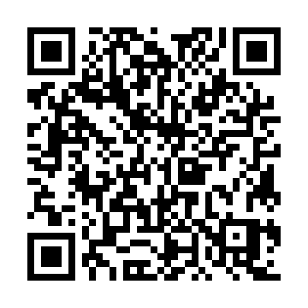 QR code for DN51JS