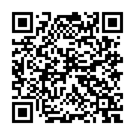 QR code for DN95GV