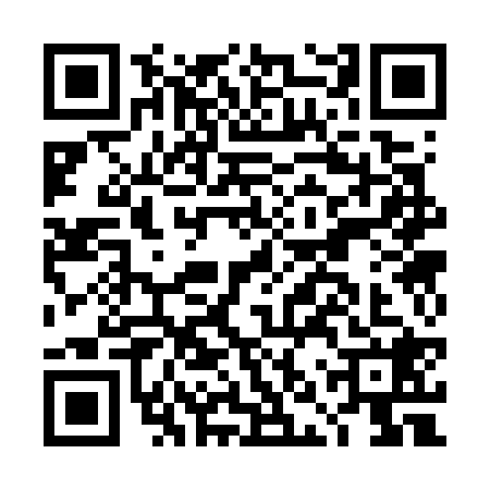 QR code for DNS7289