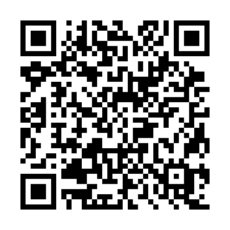 QR code for DP33NG