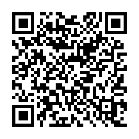 QR code for DP49QI