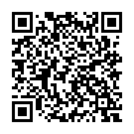 QR code for DP91JM
