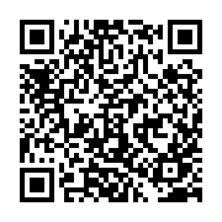 QR code for DP91XT