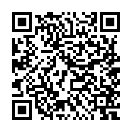 QR code for DPG9463
