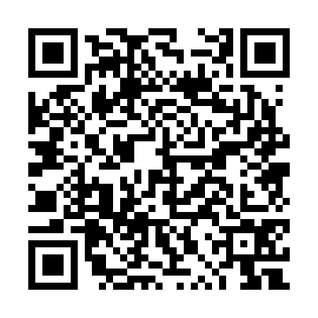QR code for DPP2745