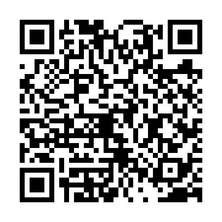 QR code for DPV6381