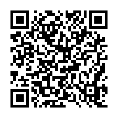 QR code for DQ91GO