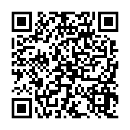 QR code for DQL2361