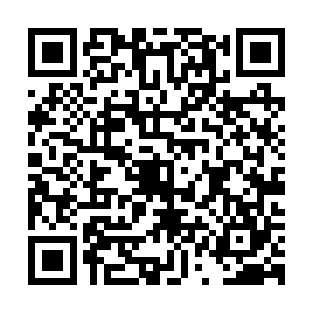 QR code for DQL2641