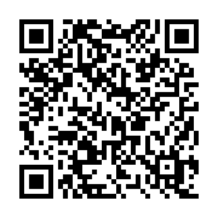 QR code for DS29SL