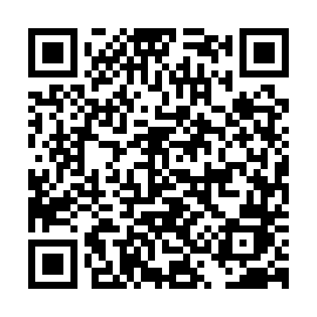 QR code for DS51TJ