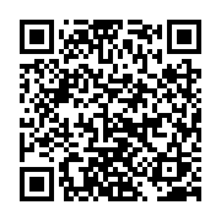 QR code for DS53SS