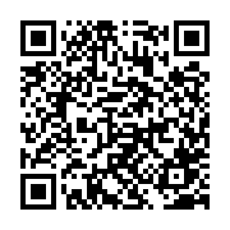 QR code for DS55XV