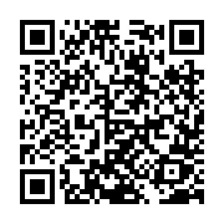 QR code for DS63DZ
