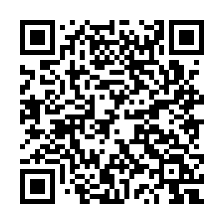 QR code for DS81VL