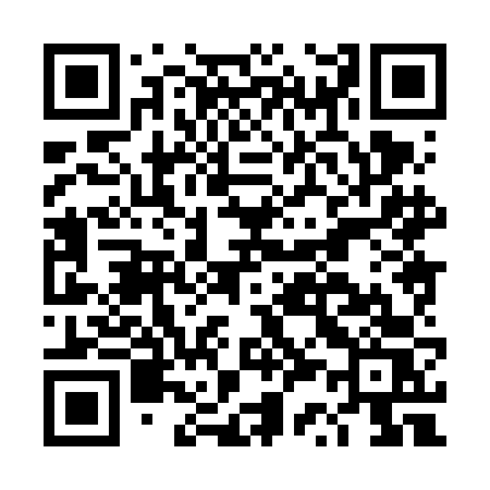 QR code for DS86FS