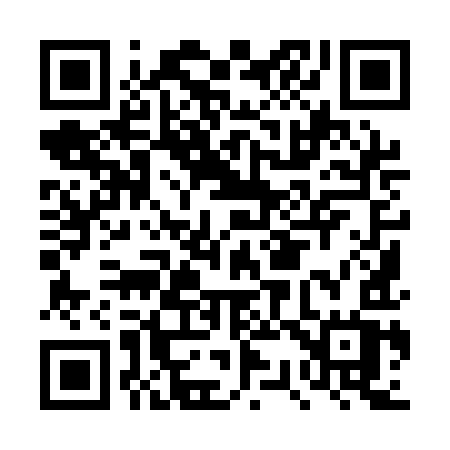 QR code for DS91IW