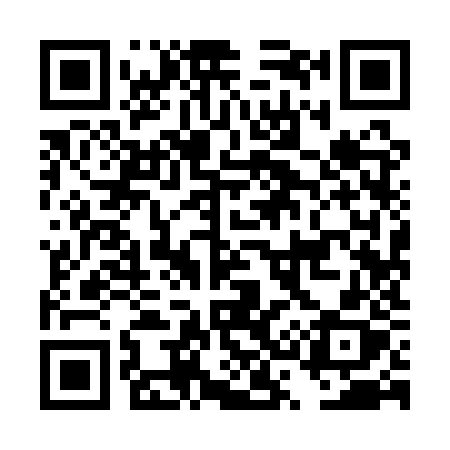 QR code for DS91ZX