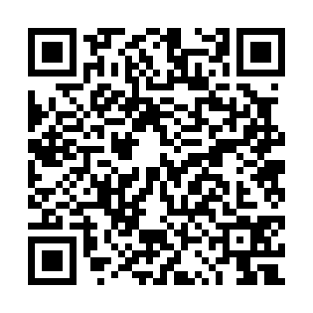 QR code for DSB0346