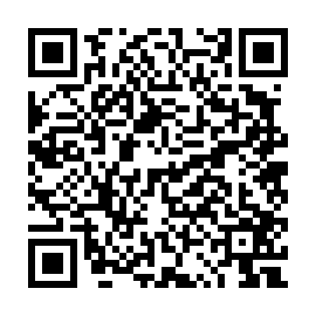 QR code for DSB4063