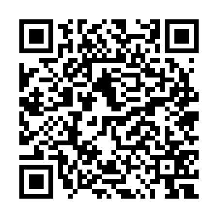 QR code for DSE2771