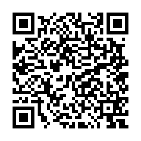 QR code for DSG0617