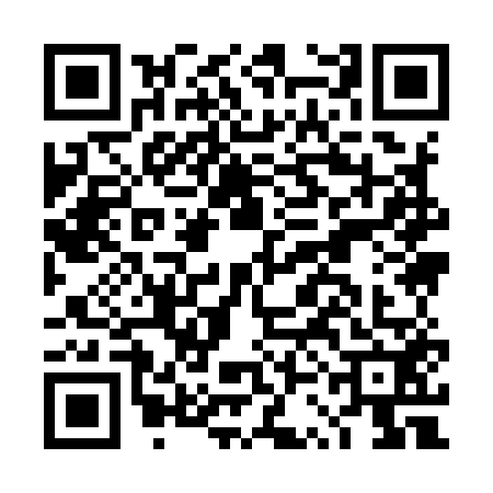 QR code for DSI9528