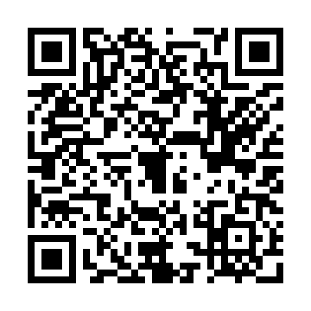 QR code for DSI9817