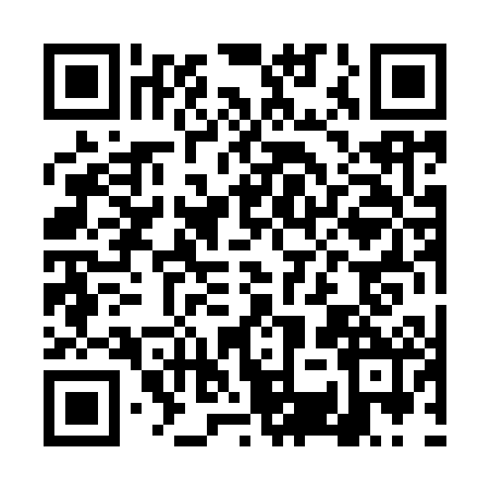 QR code for DSP9028
