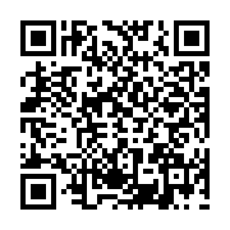 QR code for DSY3413