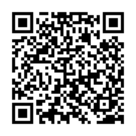 QR code for DT50YS