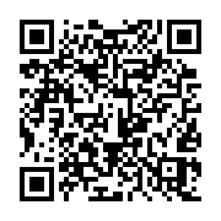 QR code for DT63US
