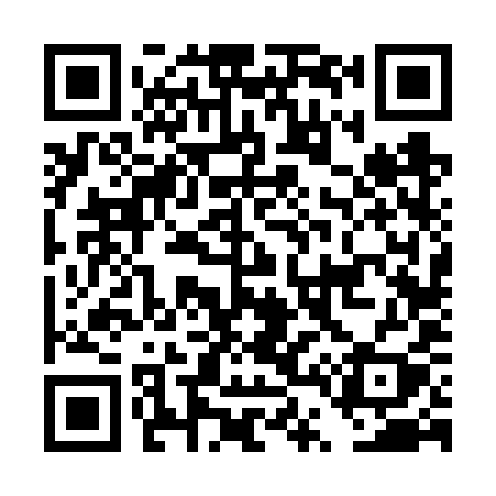 QR code for DT66YY